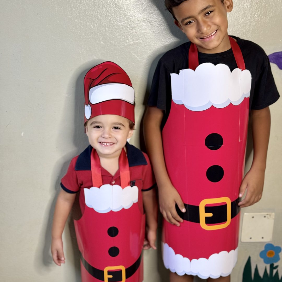 Aventais Papai Noel