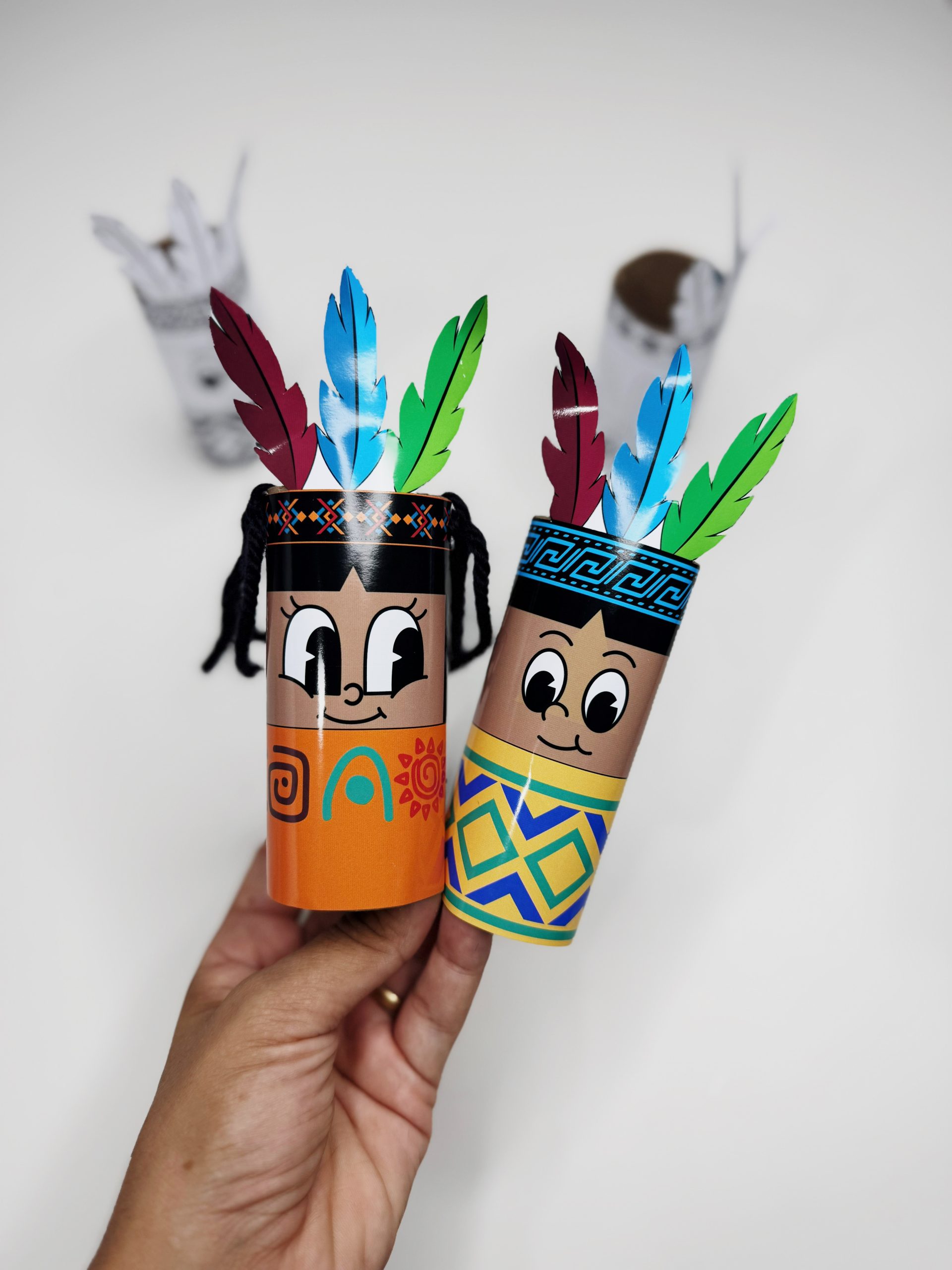 Projeto Indígena - Imagem 5