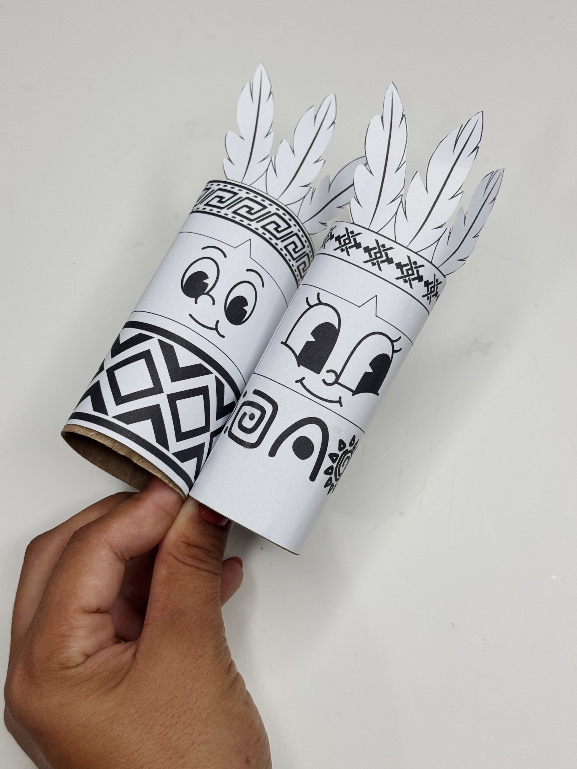 Projeto Indígena - Imagem 4