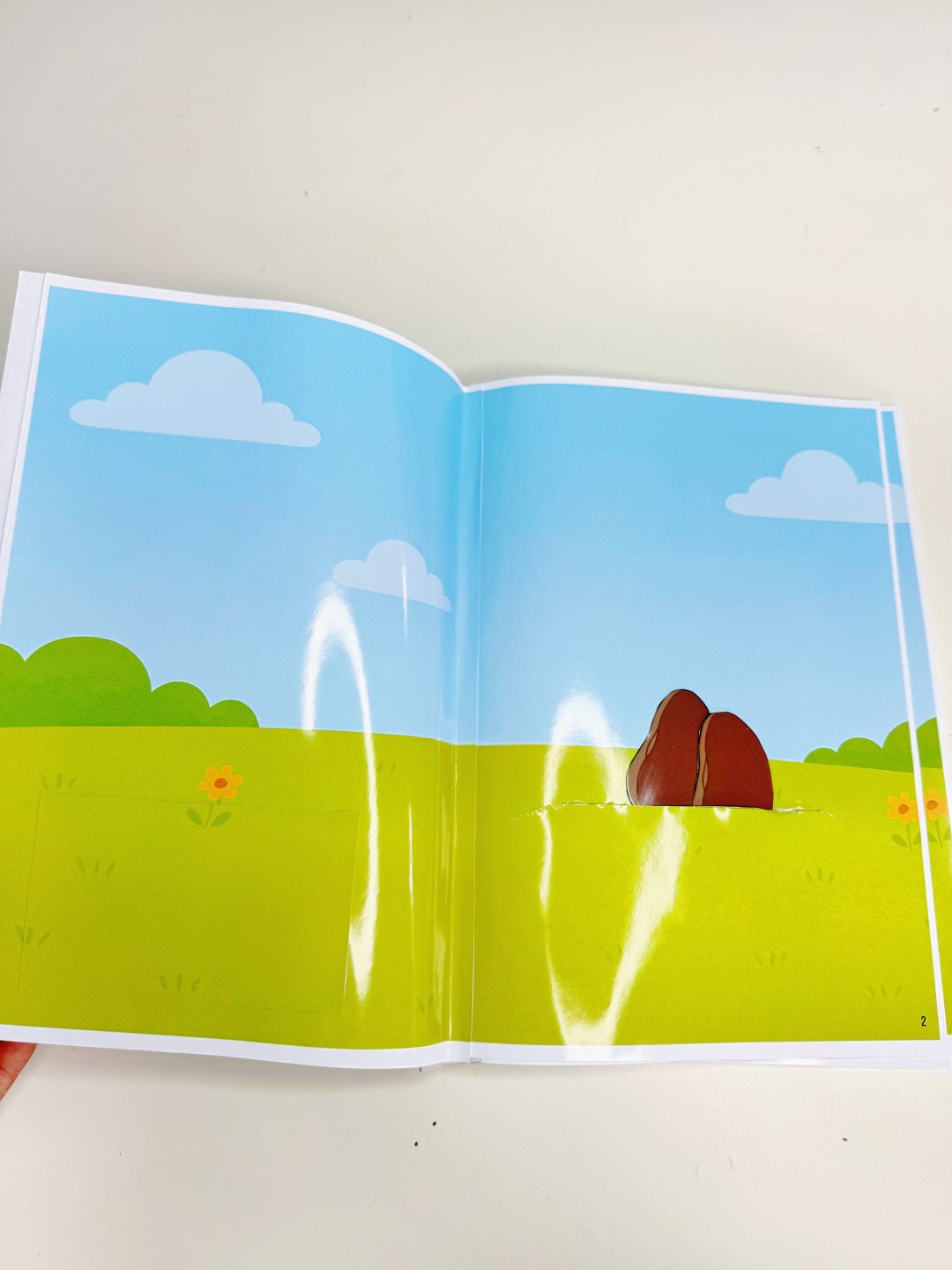 LIVRO SENSORIAL PLANTIO DO FEIJÃO - Imagem 6