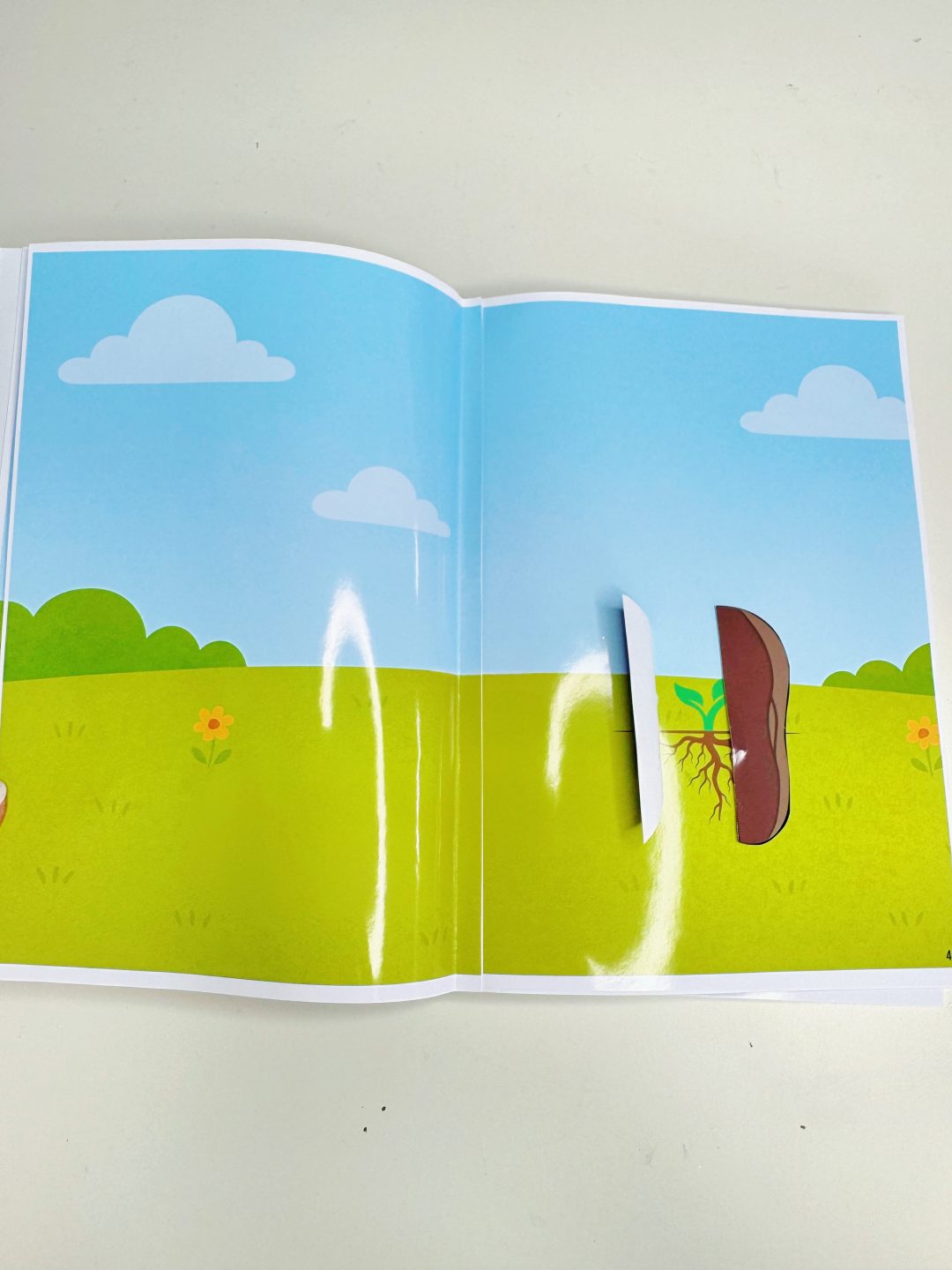 LIVRO SENSORIAL PLANTIO DO FEIJÃO - Imagem 5