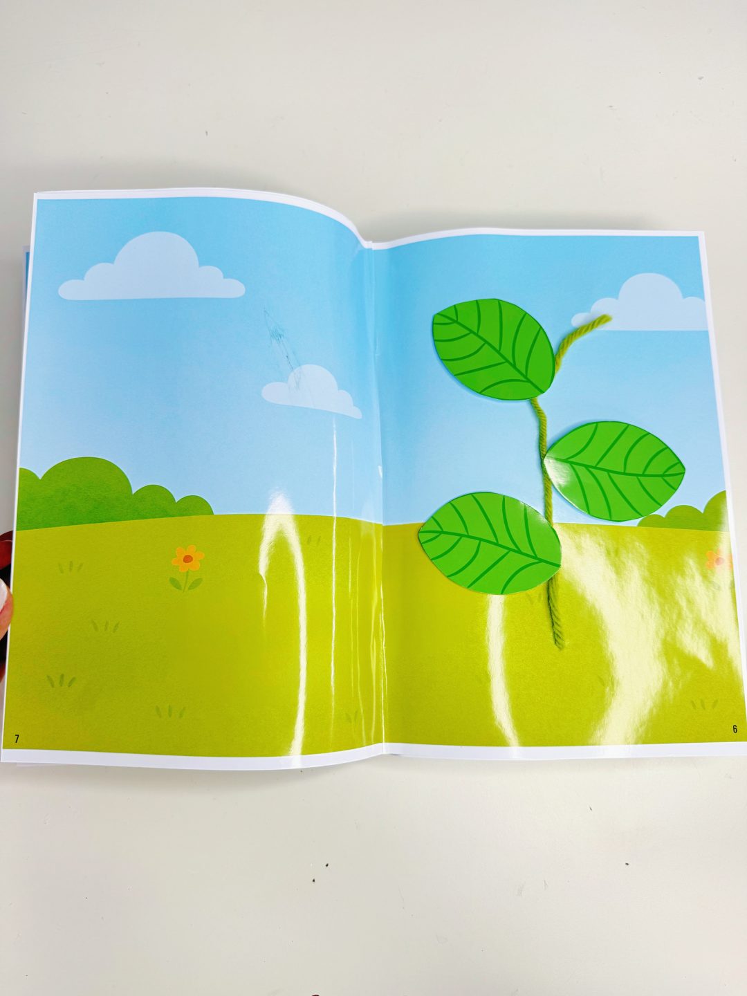 LIVRO SENSORIAL PLANTIO DO FEIJÃO - Imagem 4