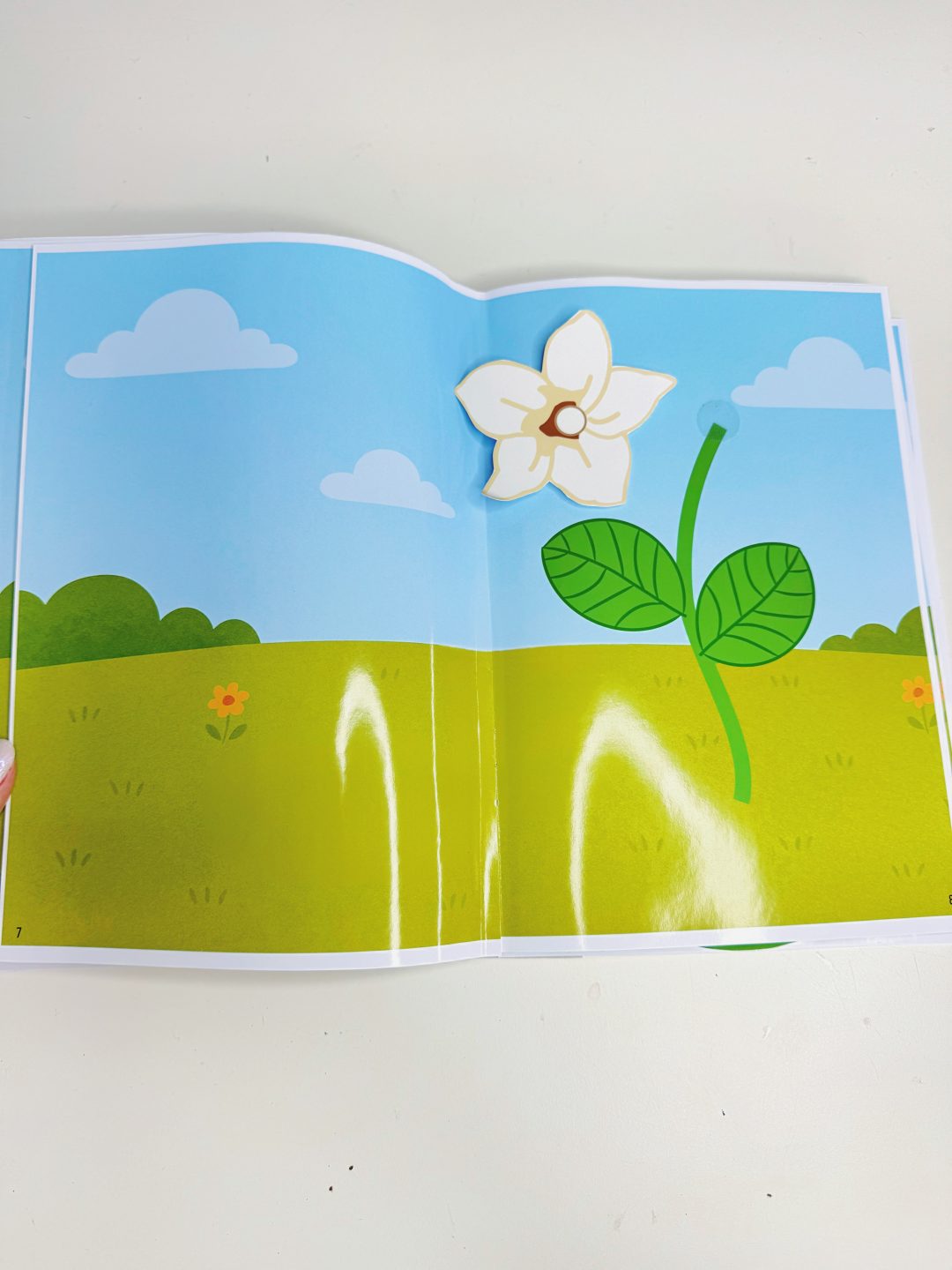 LIVRO SENSORIAL PLANTIO DO FEIJÃO - Imagem 3