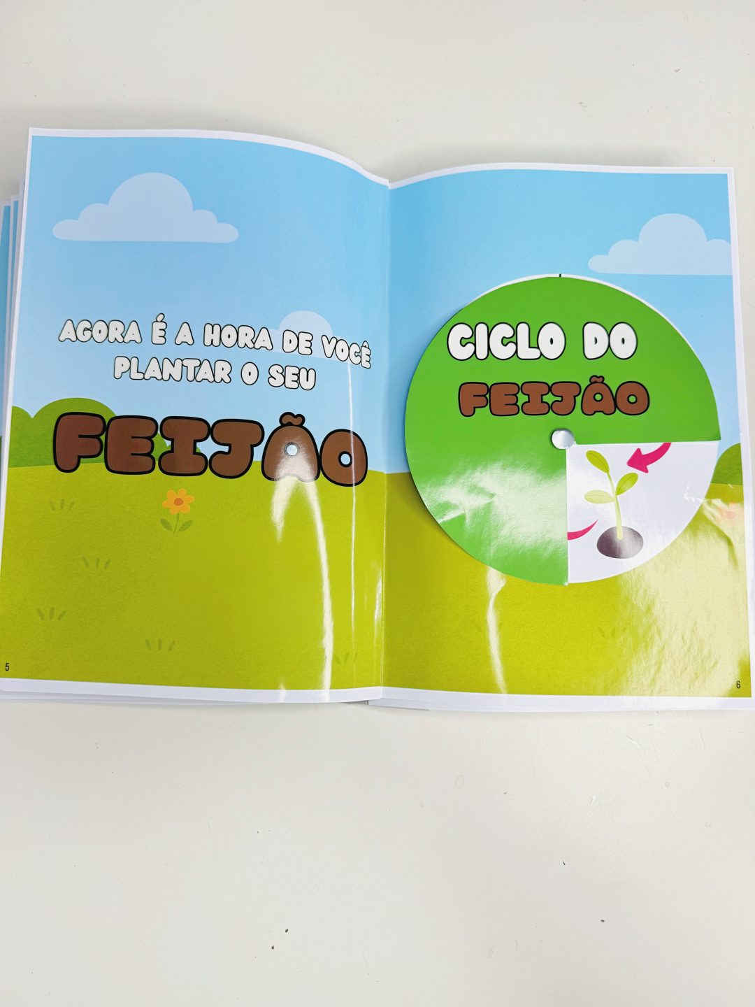 LIVRO SENSORIAL PLANTIO DO FEIJÃO - Imagem 10