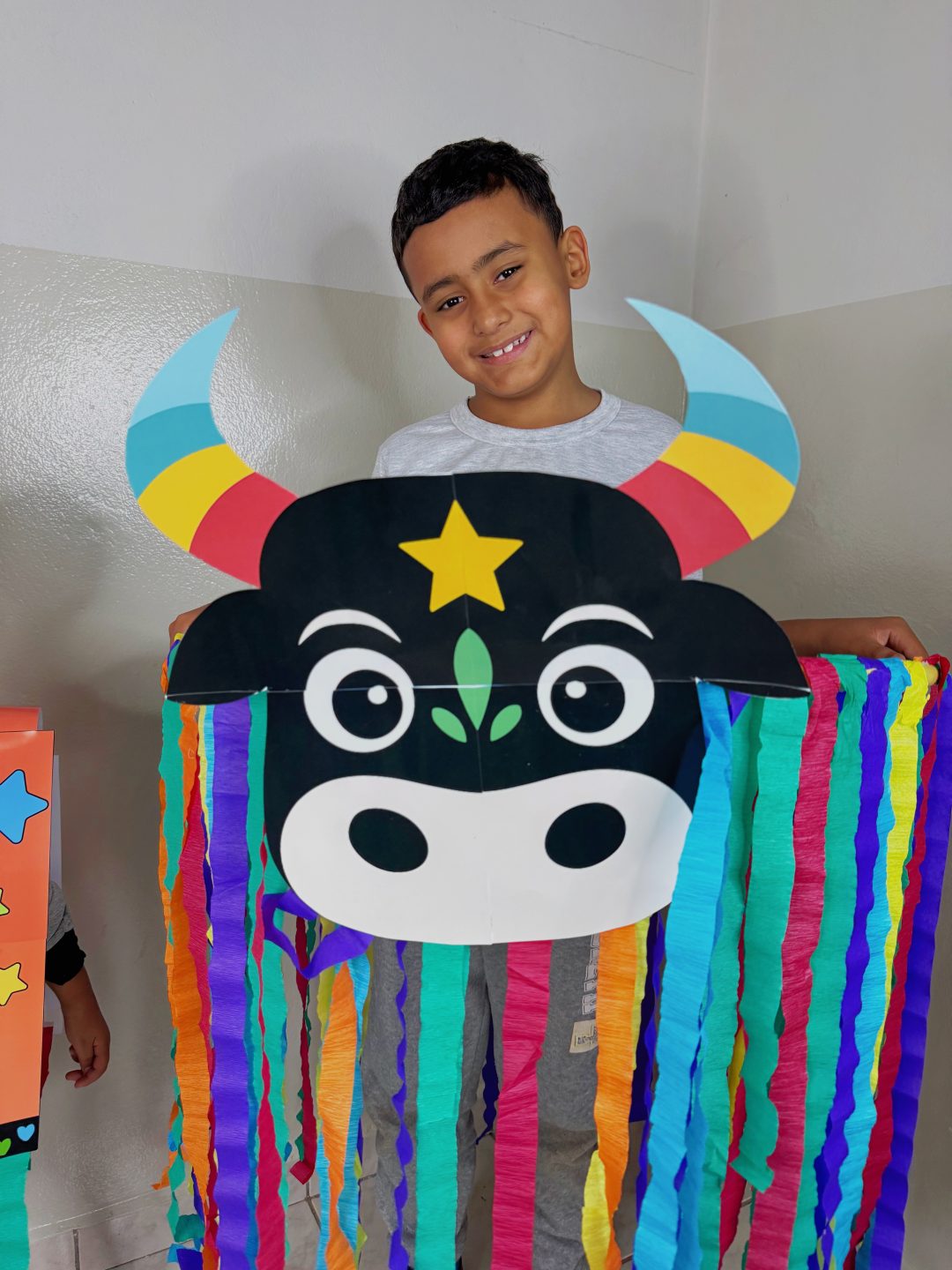 Boi Bumba Apresentação - Imagem 3