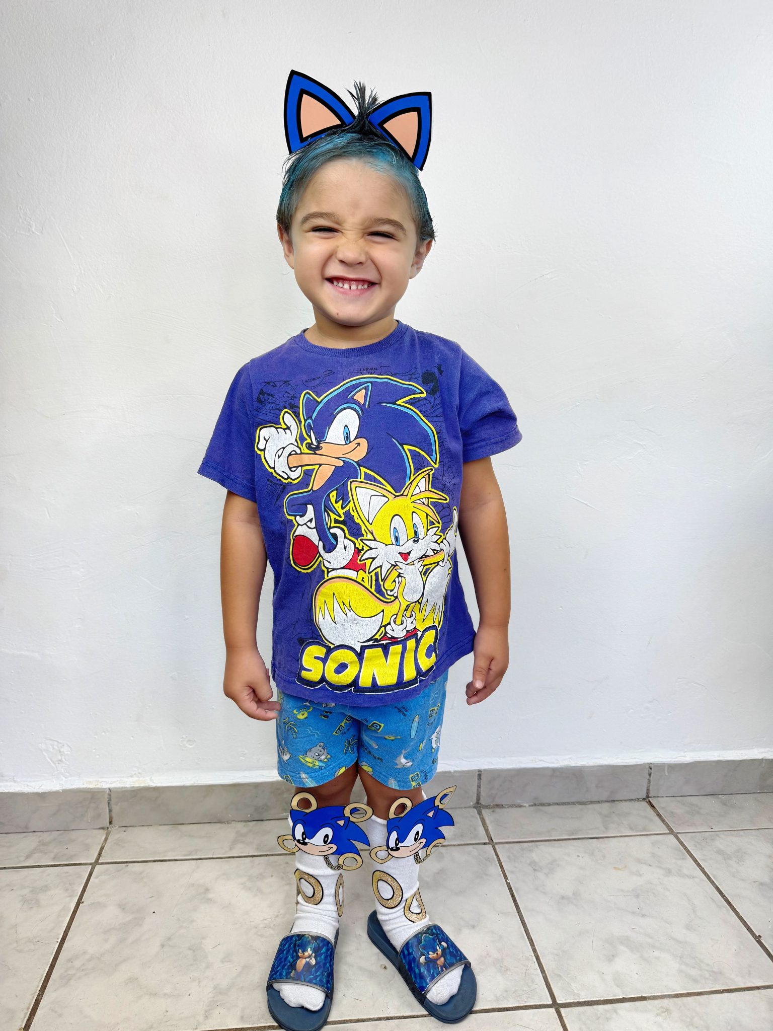 Cabelo e meia maluca Sonic – Recreação Aquarela