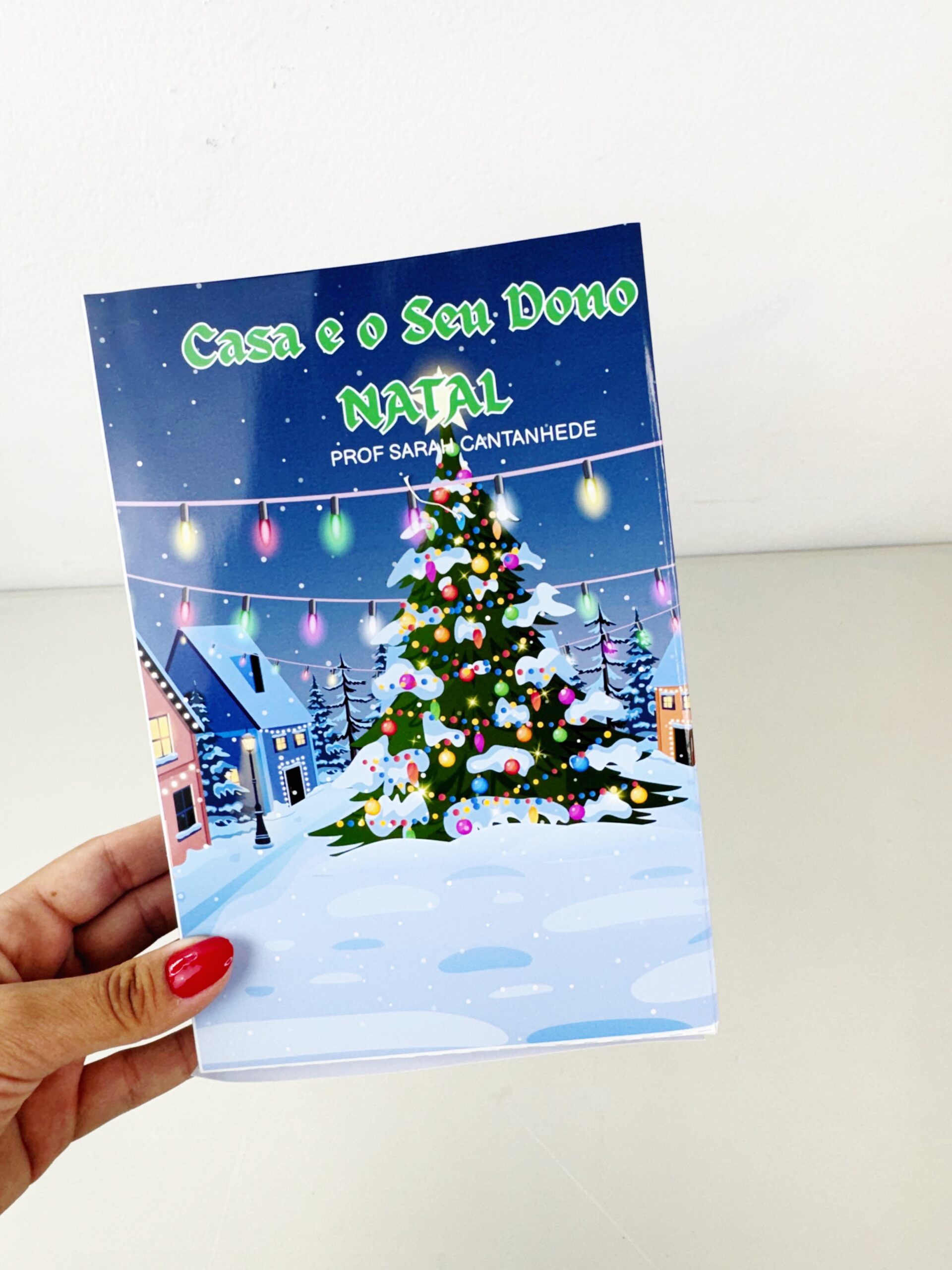 Casa e o seu dono Natal - Imagem 3