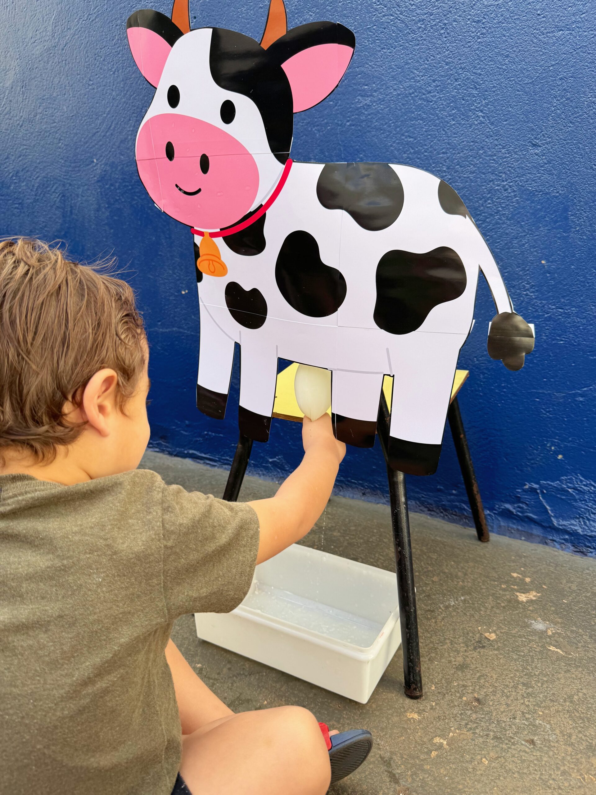 Vaquinha Sensorial - Imagem 2