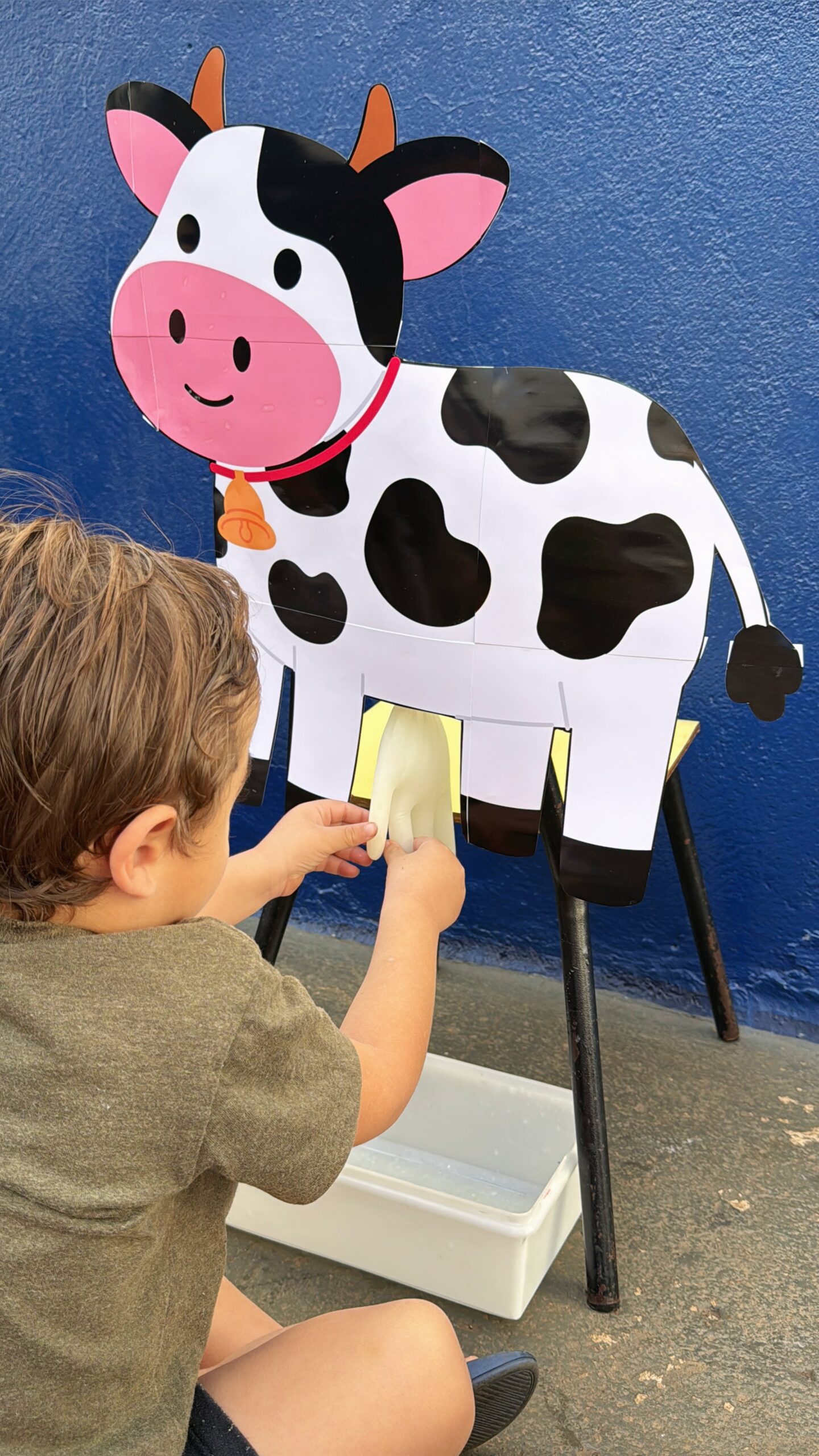 Vaquinha Sensorial - Imagem 3